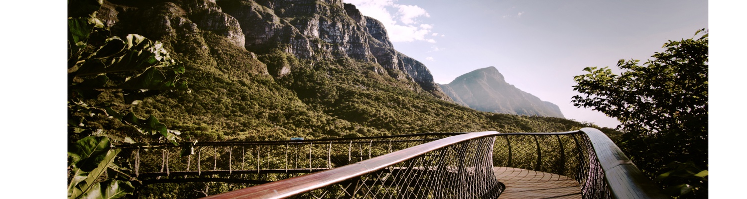 Boomslang tree canopy walkway in Kirstenbosch Botanical Gardens with mountains Cape Town Tours Into Tours