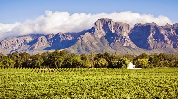 Mountains in the Cape Winelands 
