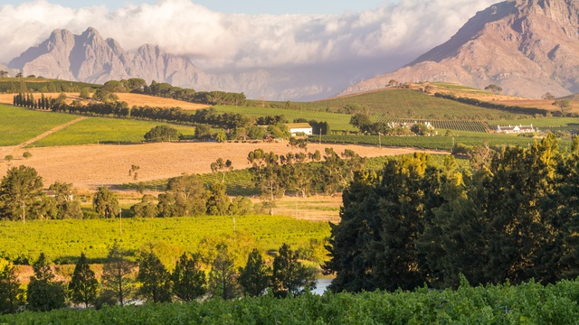 Landscape of Stellenbosch found along the Cape Winelands in the Western Cape South Africa Into Tours