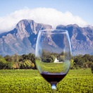 Cape-winelands-accomodation-tour-operator-cape-town-into-tours-paarl-wine-pairing-franschhoek-western-cape-franschhoek-wine-farms-wine-estates-cape-town-wine-south-africa-stellenbosch-wine-route