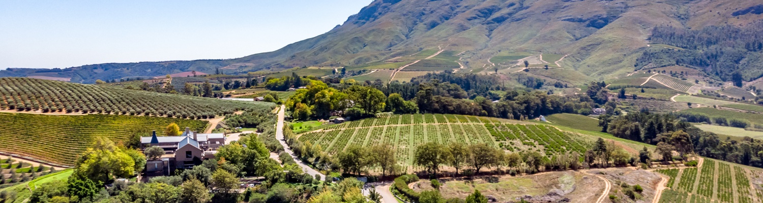 Aerial picture and  view of Stellenbosch wine route as found in Cape Winelands. Picture of the wineries and vineyards with mountain views of Stellenbosch. 