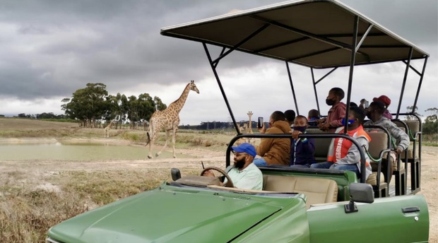 Group of people and children looking at giraffes on a 4x4 guided game drive  in Cape Town on a wine farm. 