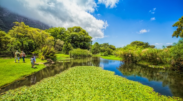 Cape Town big 7 Attractions and things to do in Kirstenbosch National Botanical Gardens on a guided private tour in Cape Town with a Cape Town Tour Operator company, Tourists walking in Kirstenbosch part of the big 7 in Cape Town, Into Tours