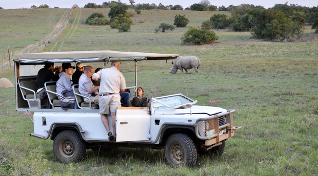 Co-Workers listening to wild life animal facts while on a 4x4  big five Safari Experience in Cape Town