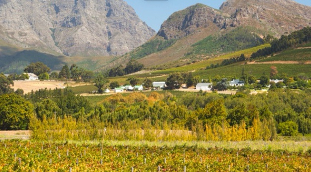 Franschhoek private wine tour Private Cape Town city tour, table mountain tour, Robben island, Camps Bay beach, V&A Waterfront, Groot Constantia wine tour, Cape point private tour,  Penguins tour, Wine tour Stellenbosch, Franschhoek, Cape Winelands Tour