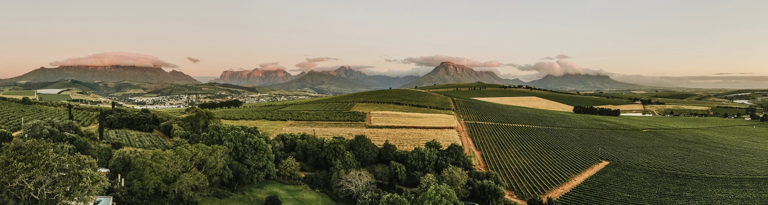 View of the Cape Winelands in Cape Town 