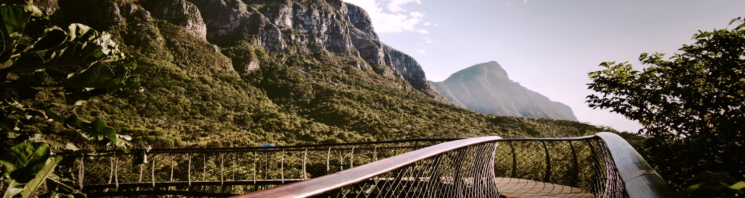 attractions and things to do in Kirstenbosch National Botanical Gardens, Cape Town, boomslang tree canopy with eastern slopes of Table Mountain, birds in Kirstenbosch, Tours to Cape Town, Cape Peninsula tours, Into Tours