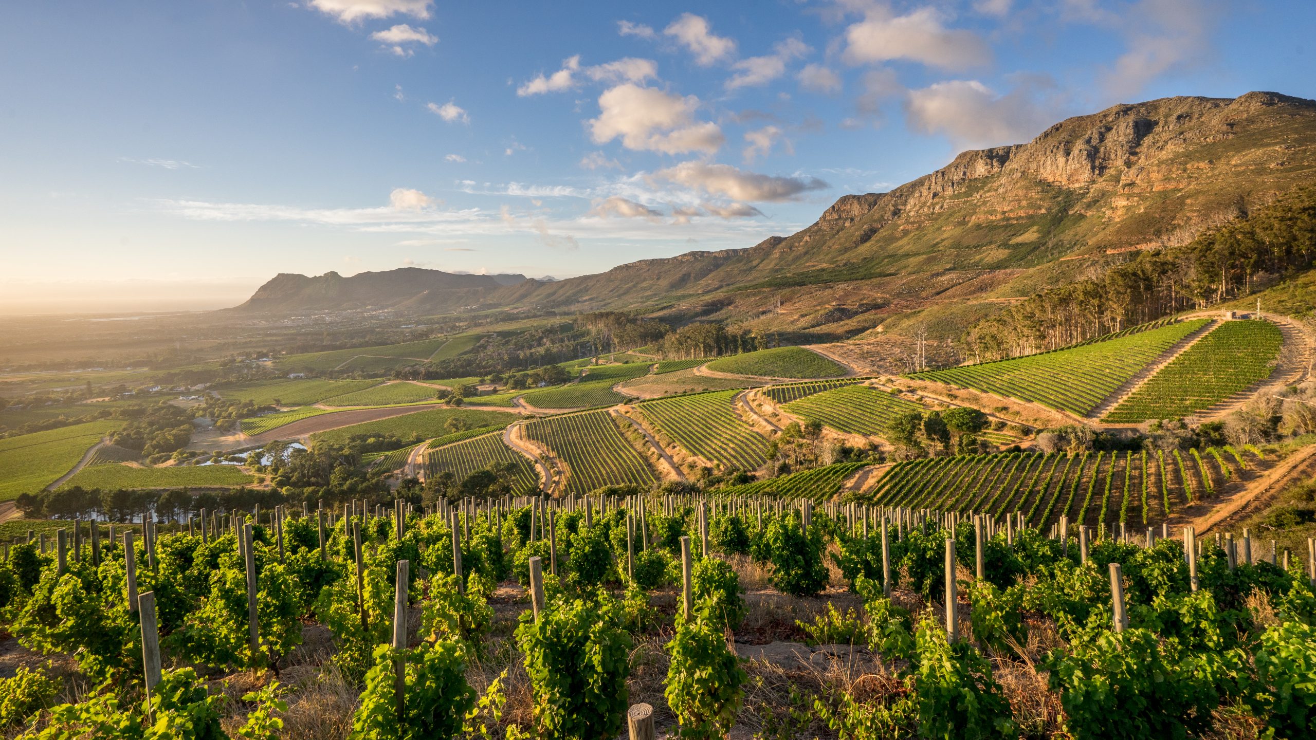 constantia-landscape-Cape-winelands-accomodation-tour-operator-cape-town-into-tours-groot-constantia-city-sightseeing-constantia-valley-paarl-wine-pairing-franschhoek-western-cape-franschhoek-wine-farms-wine-estates-cape-town-wine-south-africa-stellenbosch-wine-route
Vineyards-mountains-jonkershoek-simonsig-dorp-street-university-cape-town-wine-tasting-western-cape-winelands-house-wine-farms-wine-estate-resturant-stellenbosch-accomodation-into-tours-cape-town-wine-tasting-day-tours-private-tours-cape-town-tour-guide
