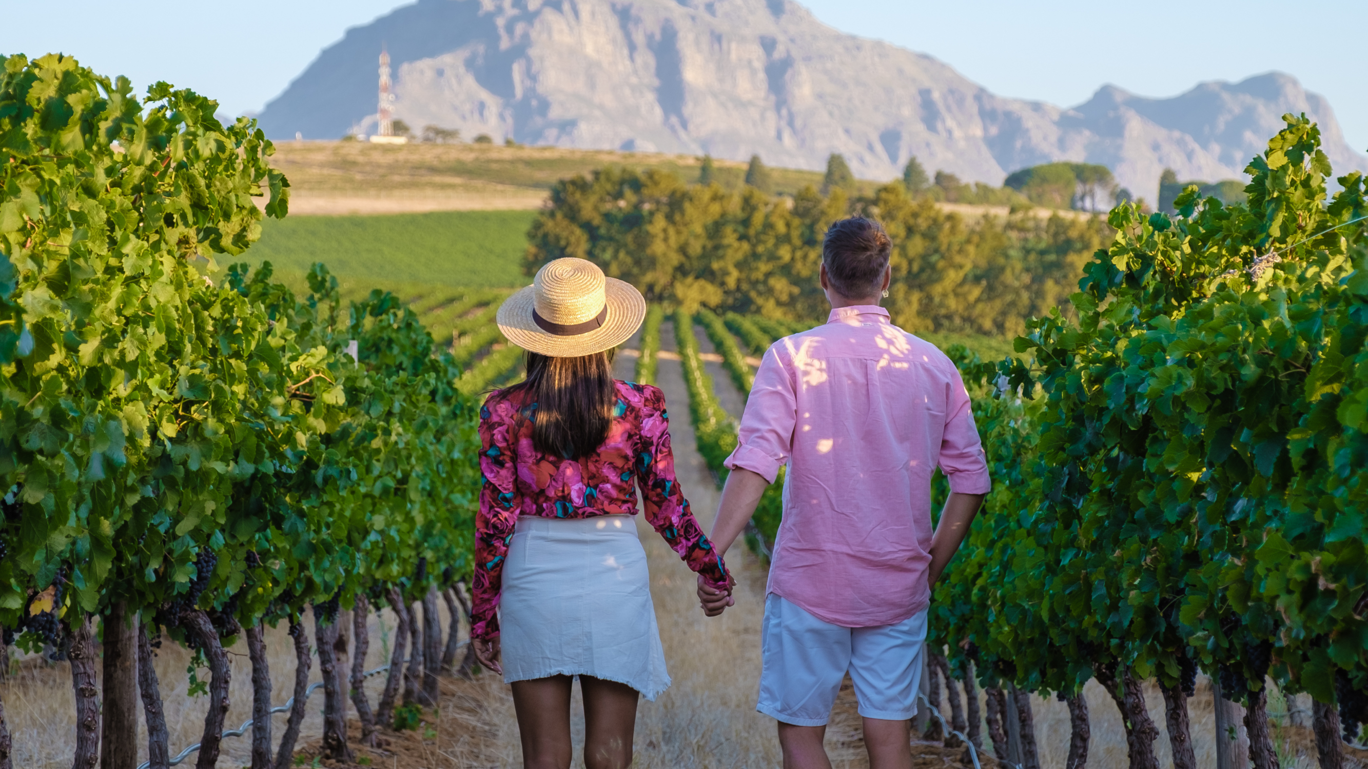tourists-holding-hands-walking-in-winelands-vineyard-mountains-Cape-winelands-accomodation-tour-operator-cape-town-into-tours-groot-constantia-city-sightseeing-constantia-valley-paarl-wine-pairing-franschhoek-western-cape-franschhoek-wine-farms-wine-estates-cape-town-wine-south-africa-stellenbosch-wine-route
Vineyards-mountains-jonkershoek-simonsig-dorp-street-university-cape-town-wine-tasting-western-cape-winelands-house-wine-farms-wine-estate-resturant-stellenbosch-accomodation-into-tours-cape-town-wine-tasting-day-tours-private-tours-cape-town-tour-guide
