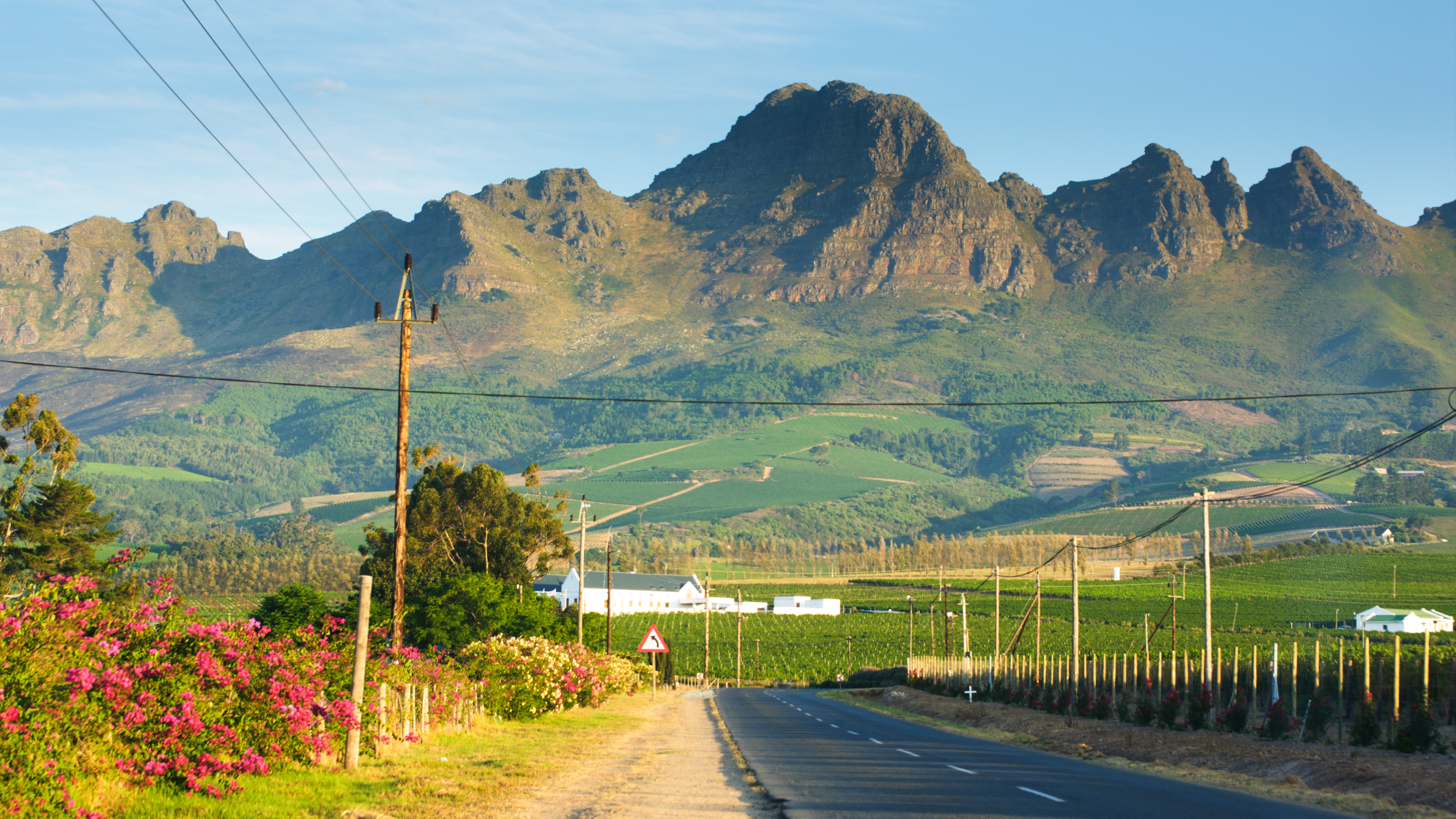 photo-mountains-streets-cape-winelands-Cape-winelands-accomodation-tour-operator-cape-town-into-tours-groot-constantia-city-sightseeing-constantia-valley-paarl-wine-pairing-franschhoek-western-cape-franschhoek-wine-farms-wine-estates-cape-town-wine-south-africa-stellenbosch-wine-route
Vineyards-mountains-jonkershoek-simonsig-dorp-street-university-cape-town-wine-tasting-western-cape-winelands-house-wine-farms-wine-estate-resturant-stellenbosch-accomodation-into-tours-cape-town-wine-tasting-day-tours-private-tours-cape-town-tour-guide
